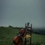 brown and black string instrument