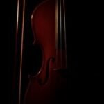 brown violin with black background