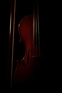 brown violin with black background