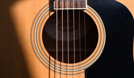 photo of brown gutiar fret